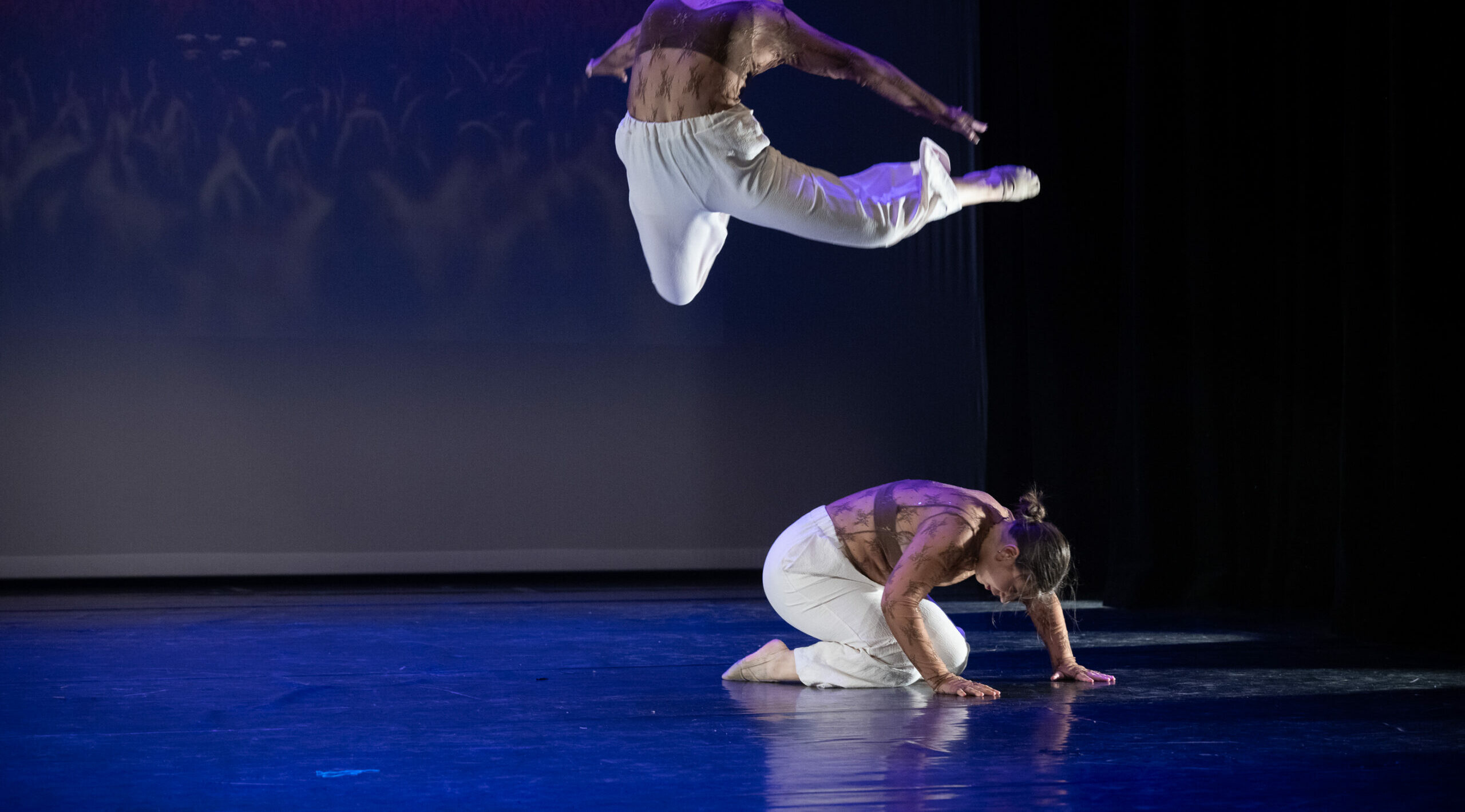 Studio Improve - Movies